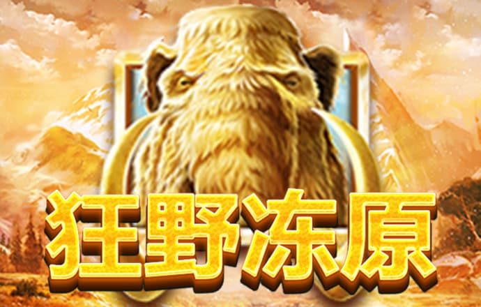 宾果彩票网最新版下载